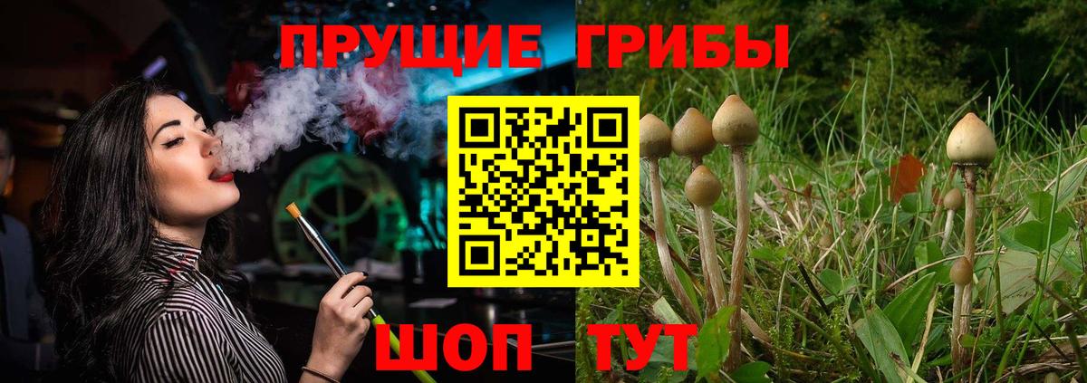 Псилоцибиновые грибы Psilocybine cubensis Джанкой